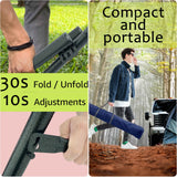 Green Frame / Emerald Green