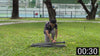 Tranquillo Uniki Collapsible Hammock Stand