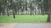 Tranquillo Original Collapsible Hammock with Stand